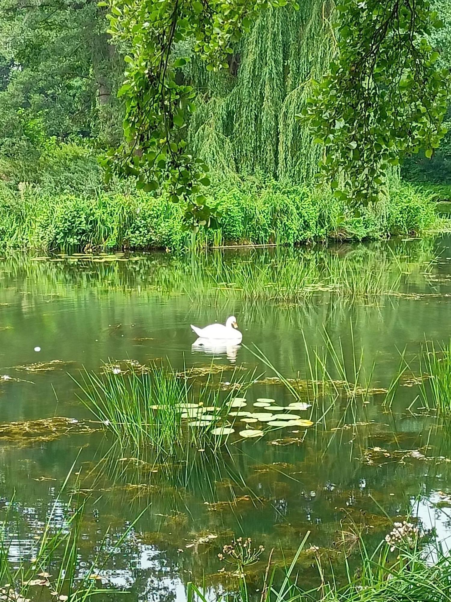 ,,Zielona Przystan Nad Morzem" Gdansk - Przymorze 아파트 외부 사진